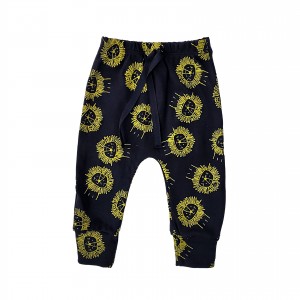 Saruel Preto Leãozinhos