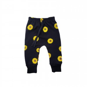 Saruel Preto Girassóis