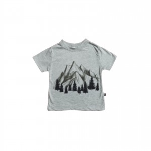 Camiseta Cinza Montanha Panorâmica